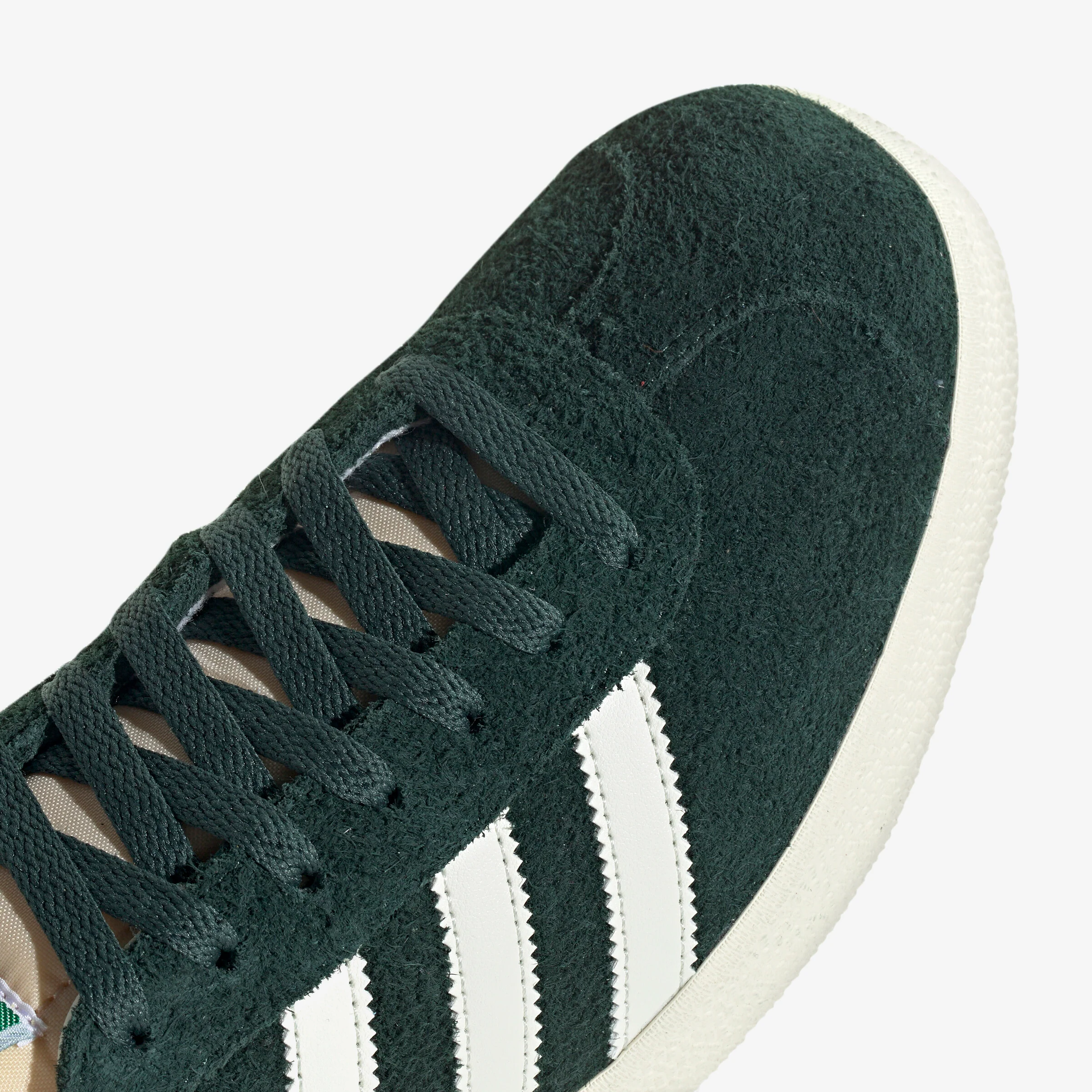 Gazelle - Image 7