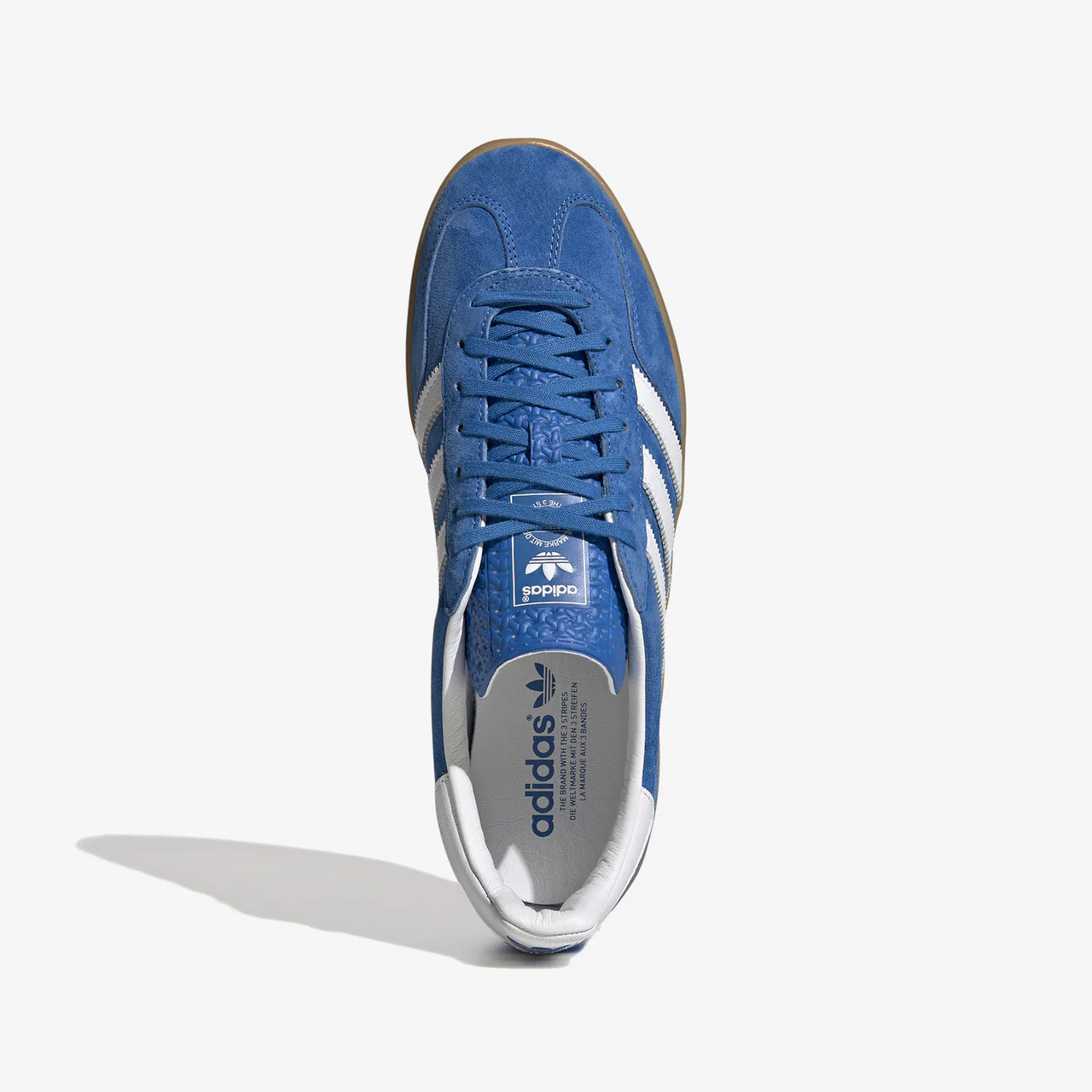 Gazelle Indoor - Image 7