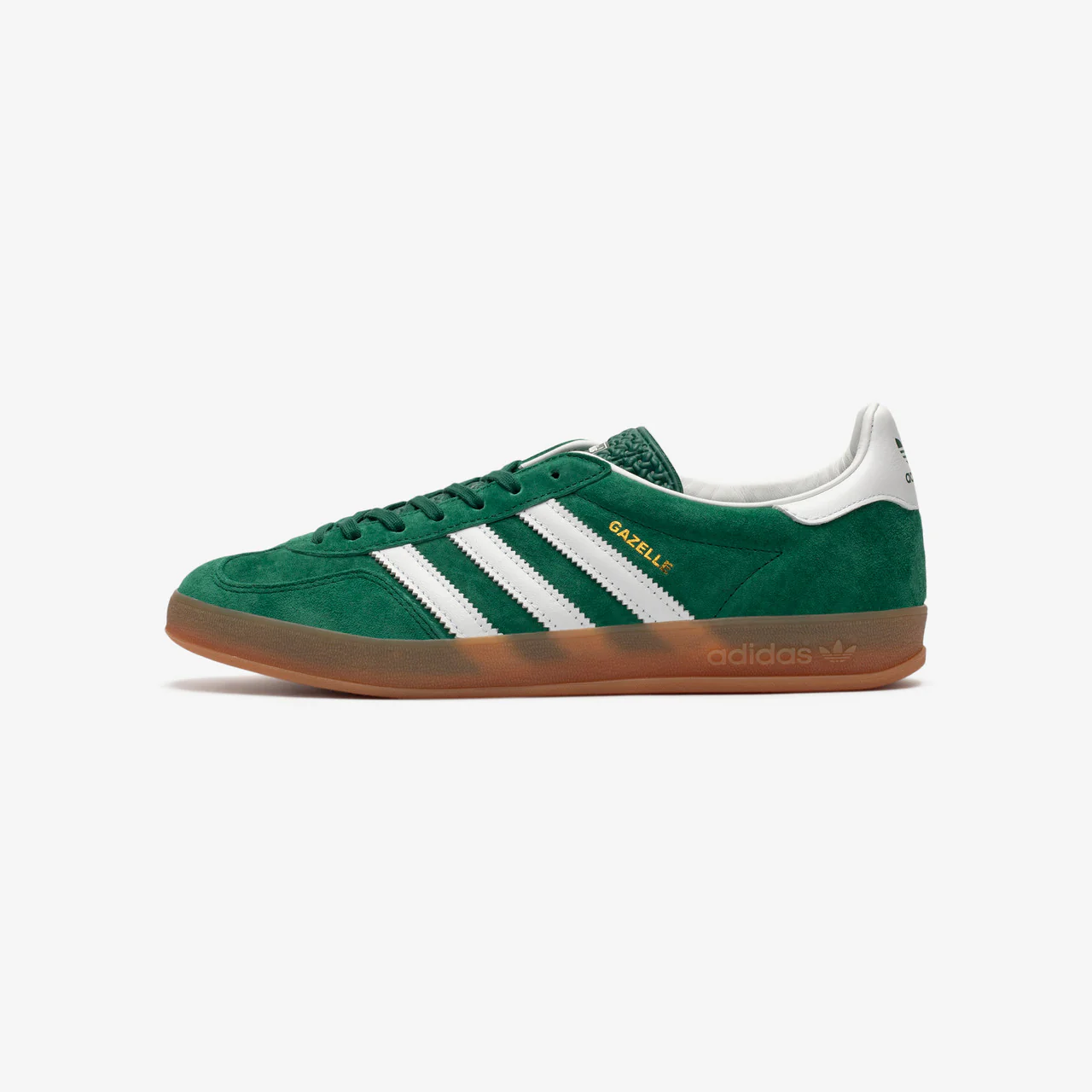 Gazelle Indoor - Image 5