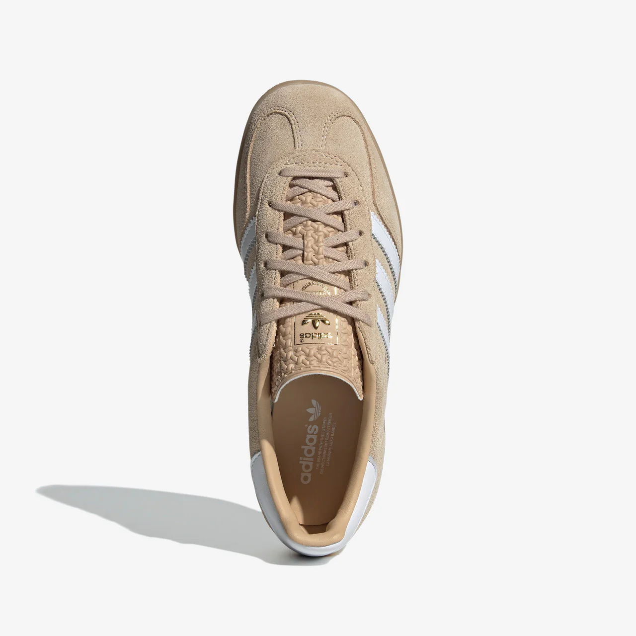 Gazelle Indoor - Image 2