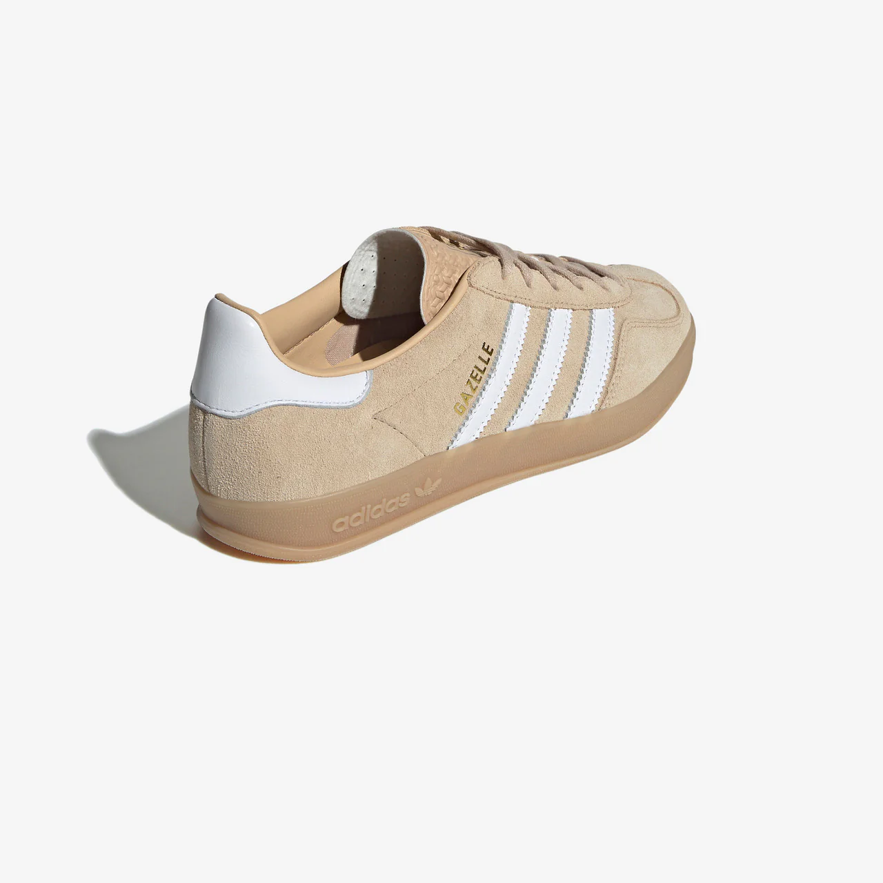 Gazelle Indoor - Image 6