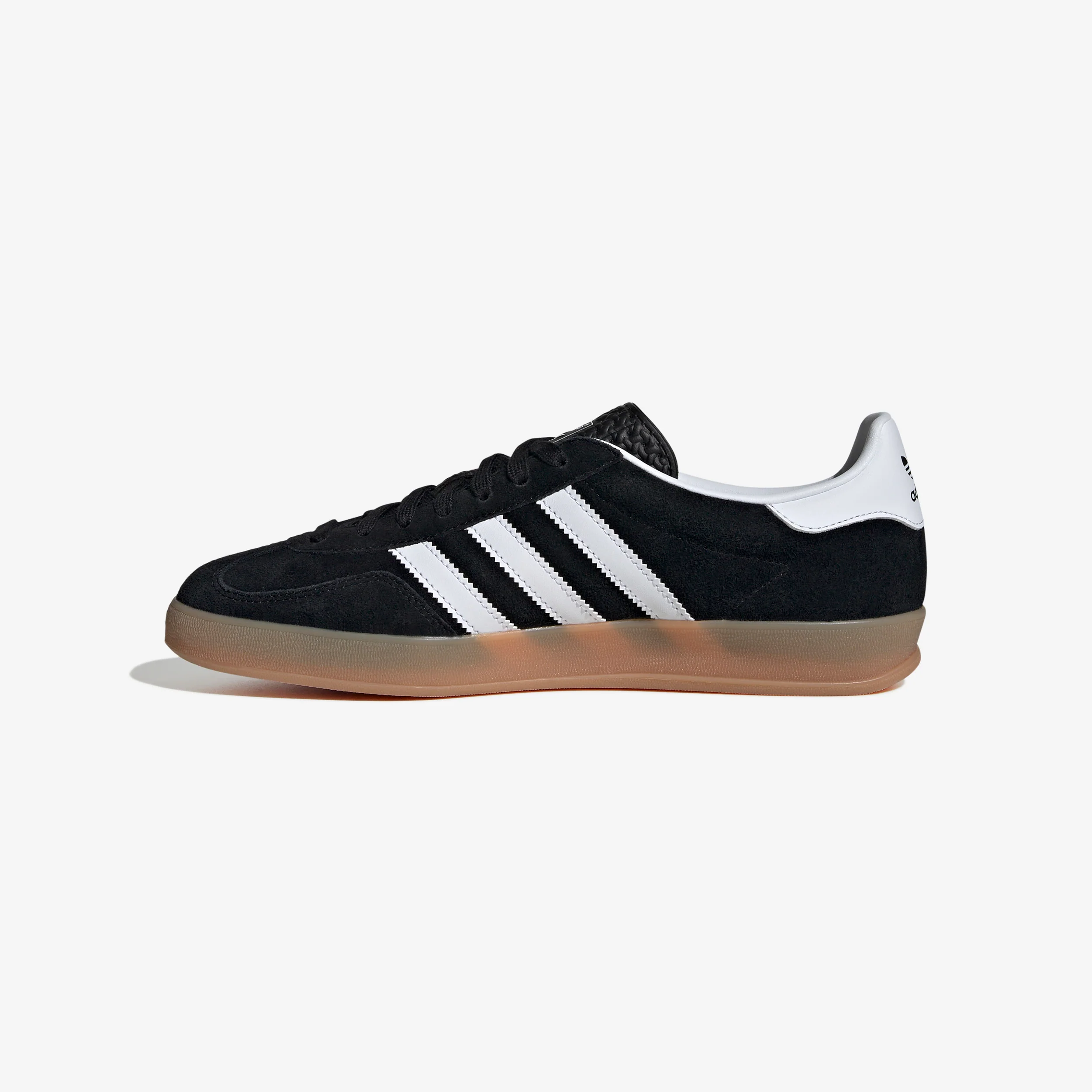 Gazelle Indoor - Image 2