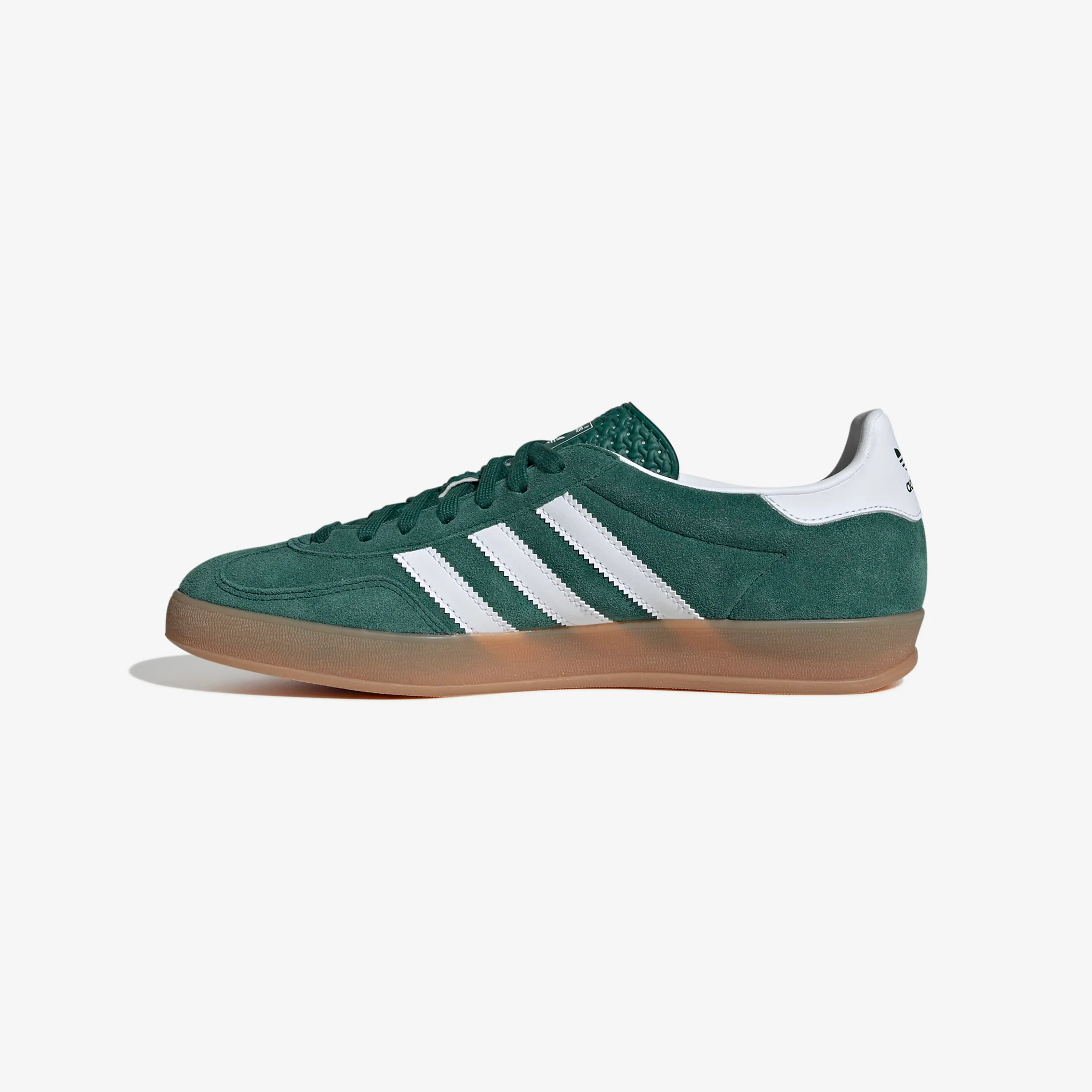 Gazelle Indoor - Image 2