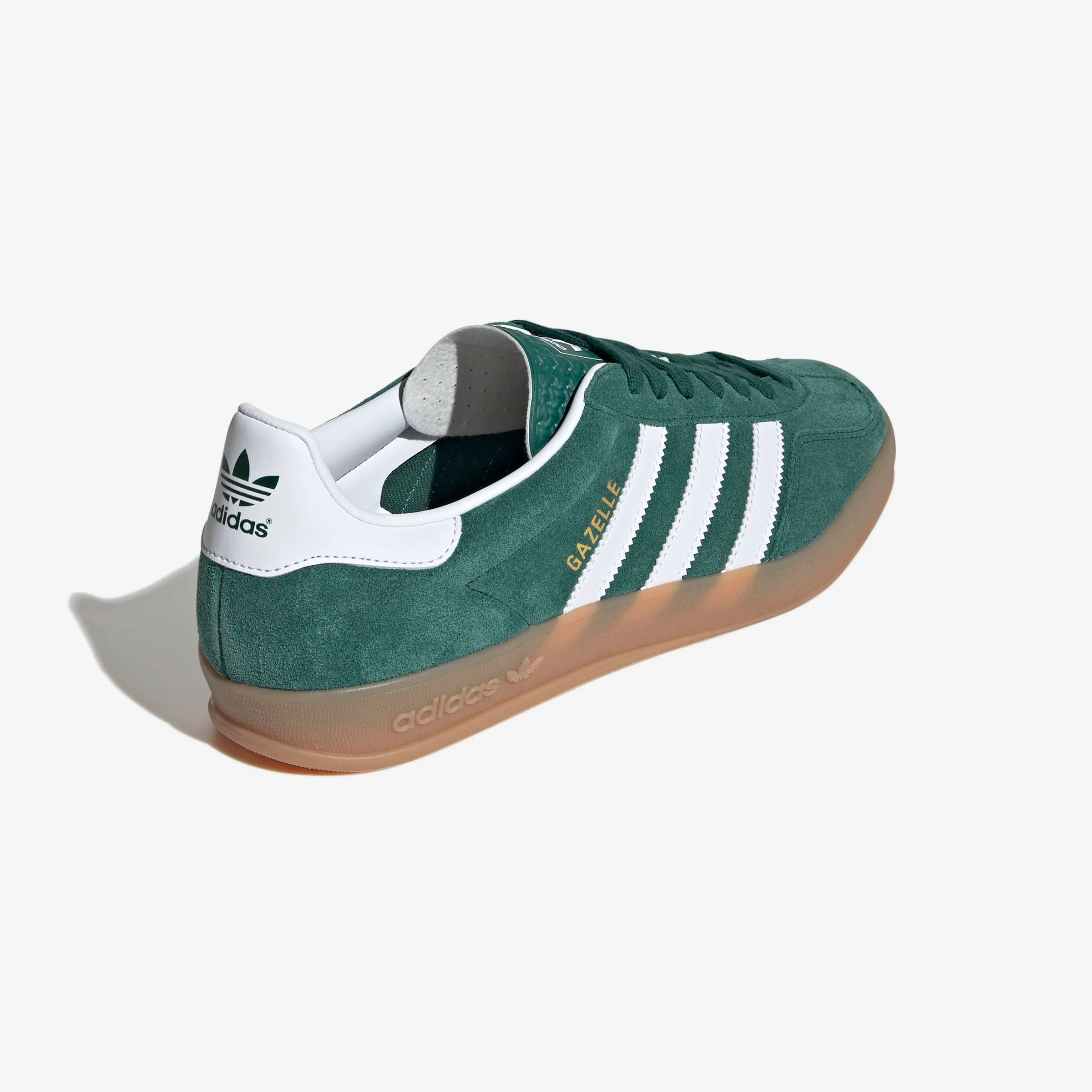 Gazelle Indoor - Image 4