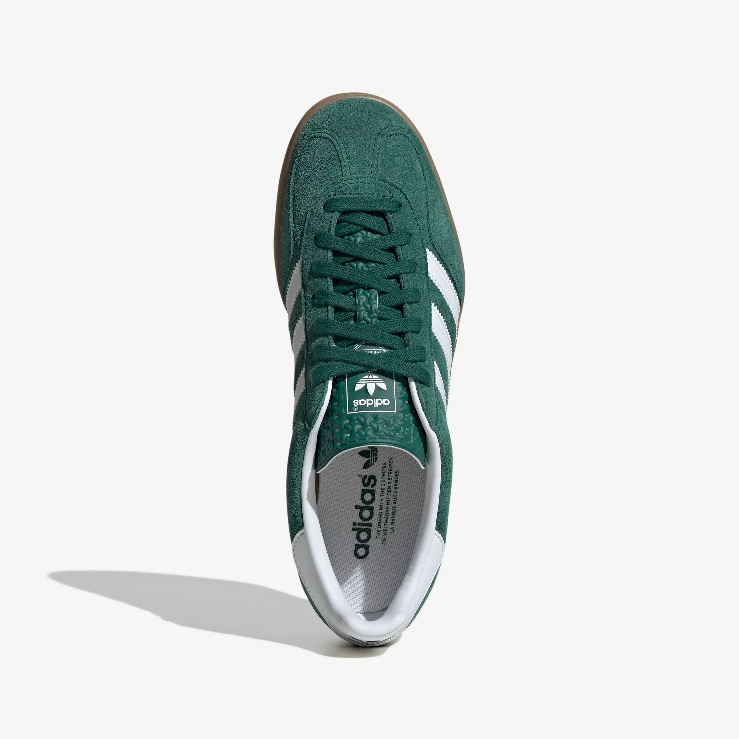 Gazelle Indoor - Image 5