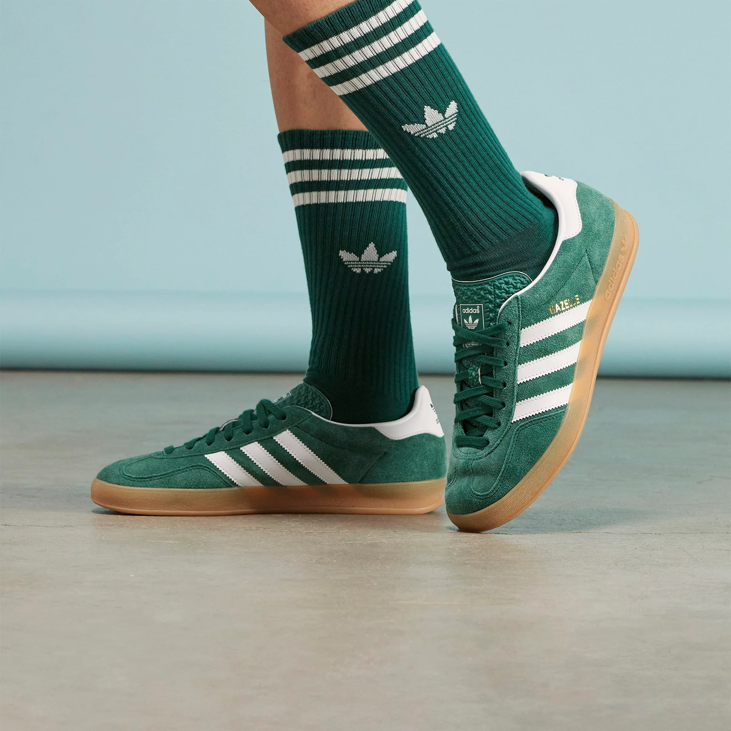 Gazelle Indoor - Image 9