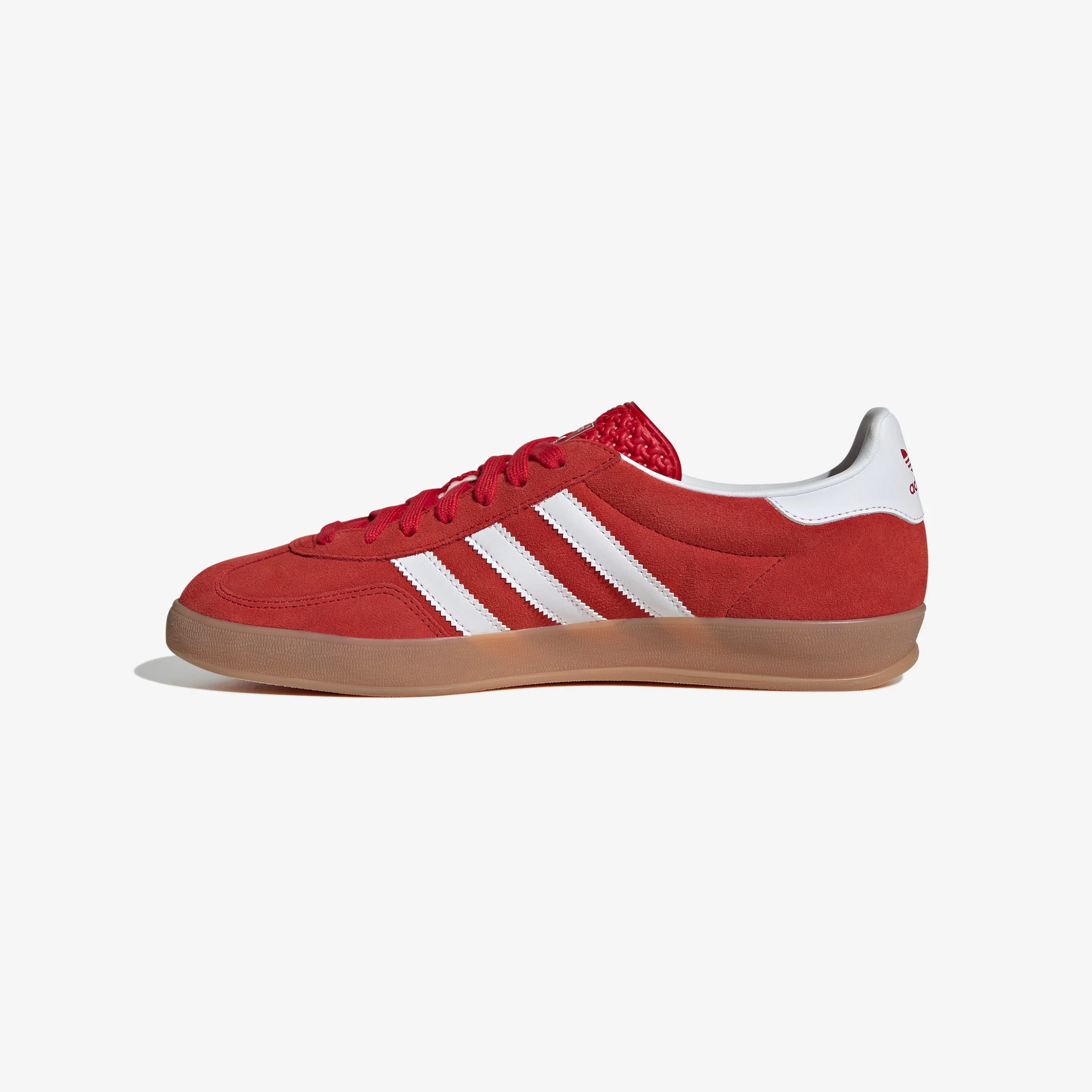 Gazelle Indoor - Image 2