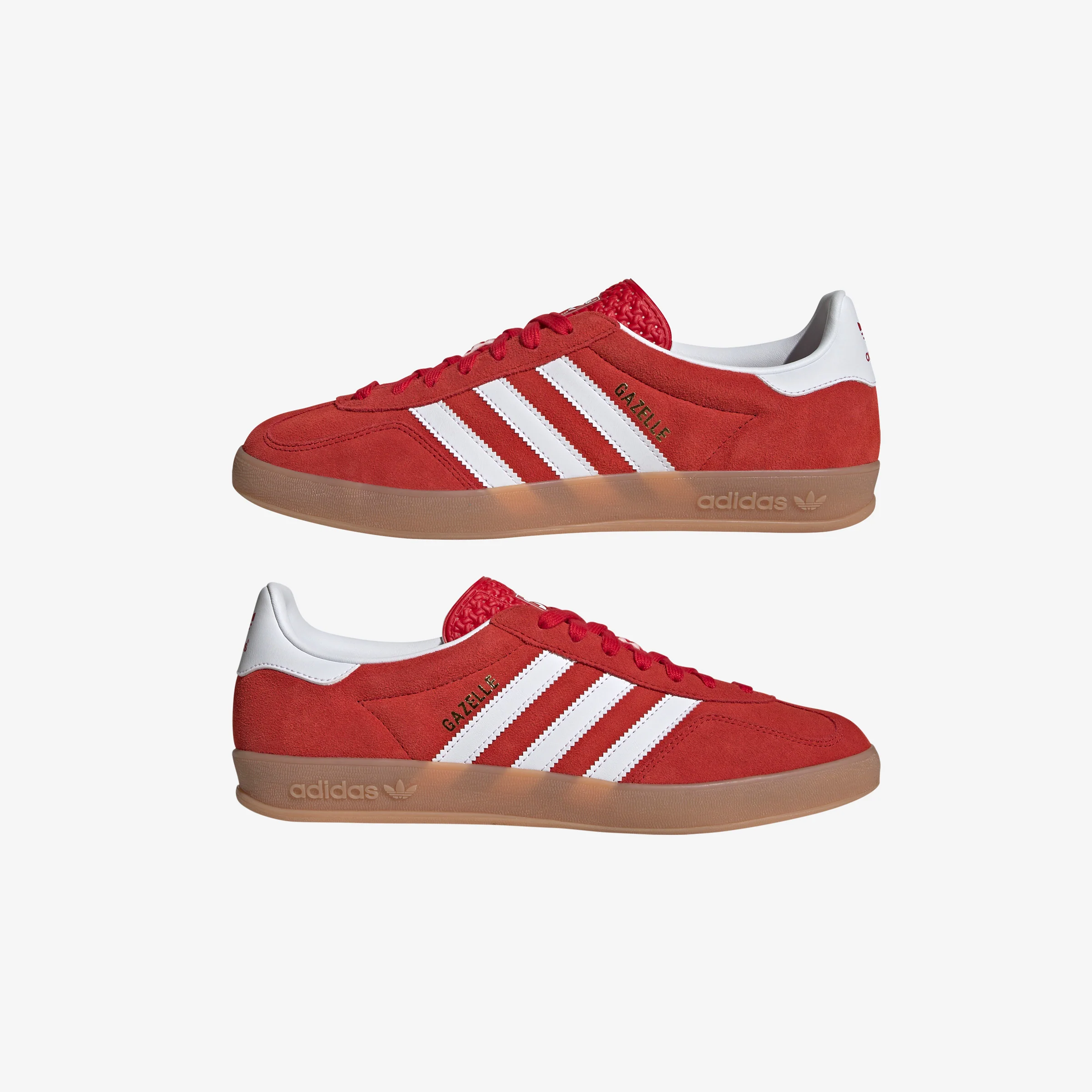 Gazelle Indoor - Image 9
