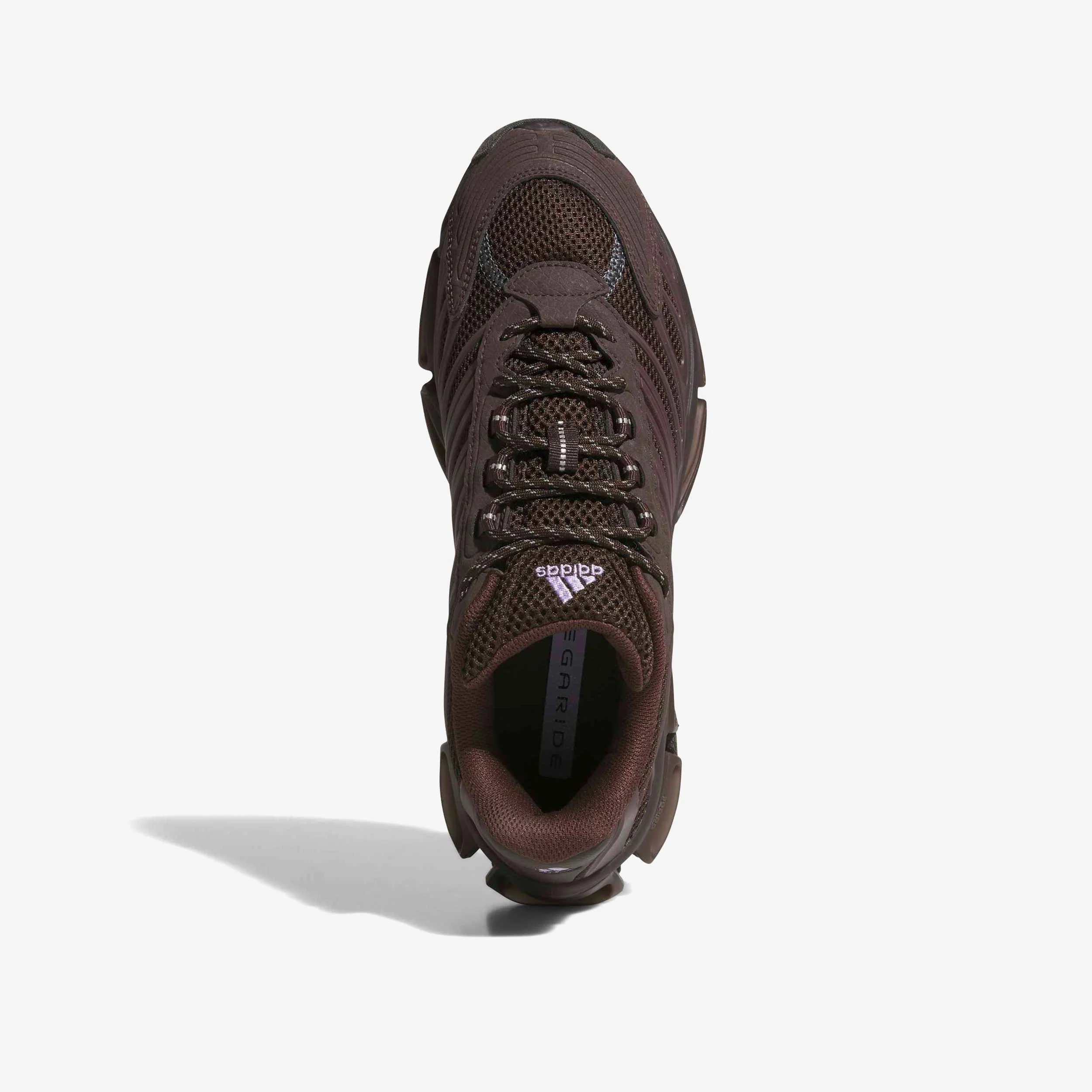 Megaride AG - Image 7