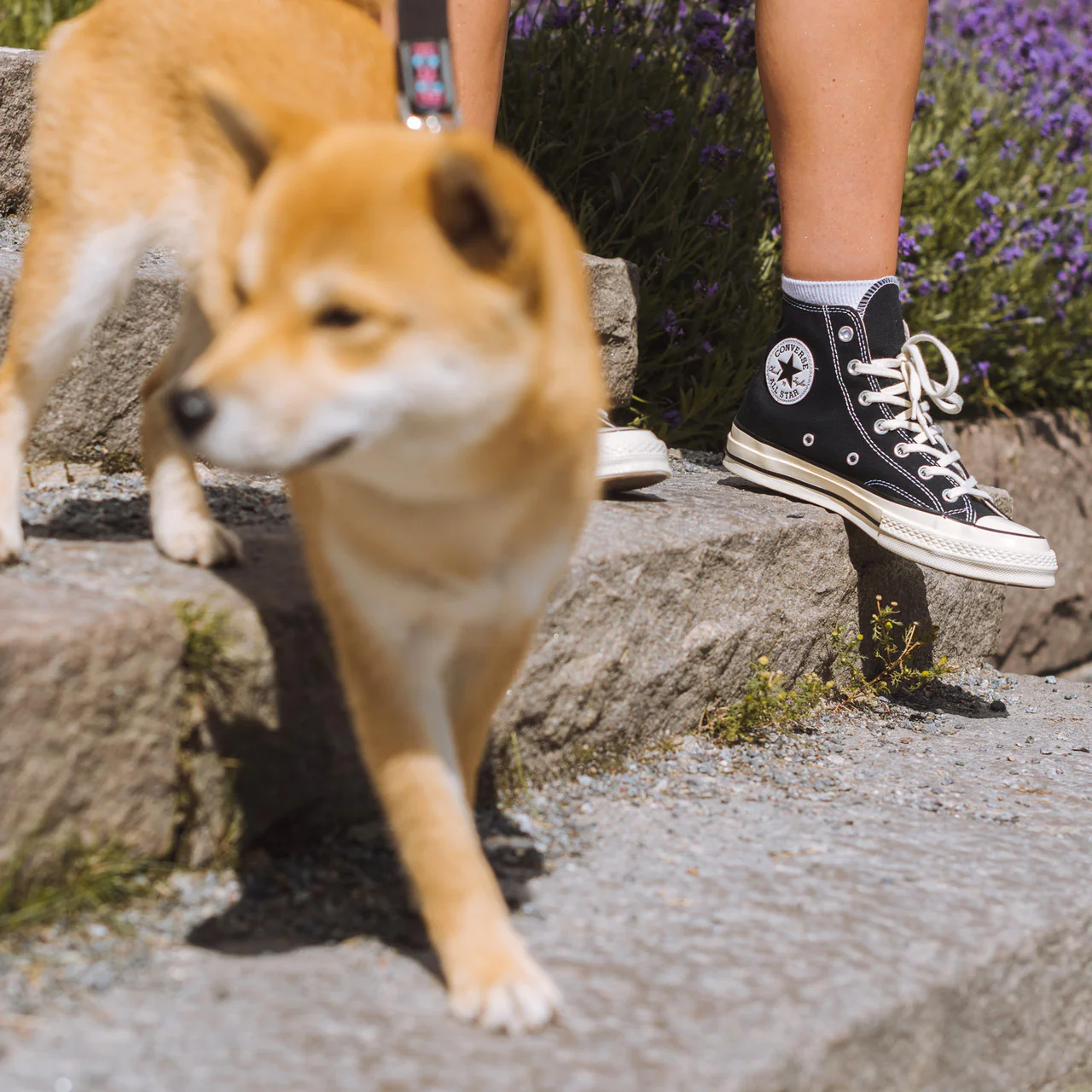 Chuck Taylor 70 Hi - Image 9