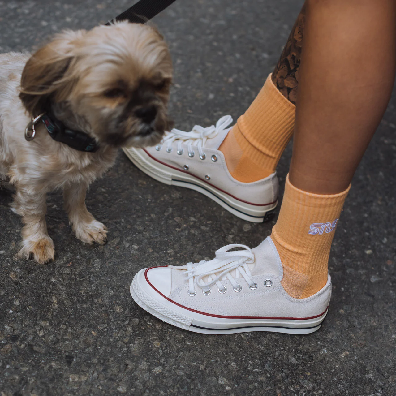 Chuck Taylor 70 Ox - Image 10