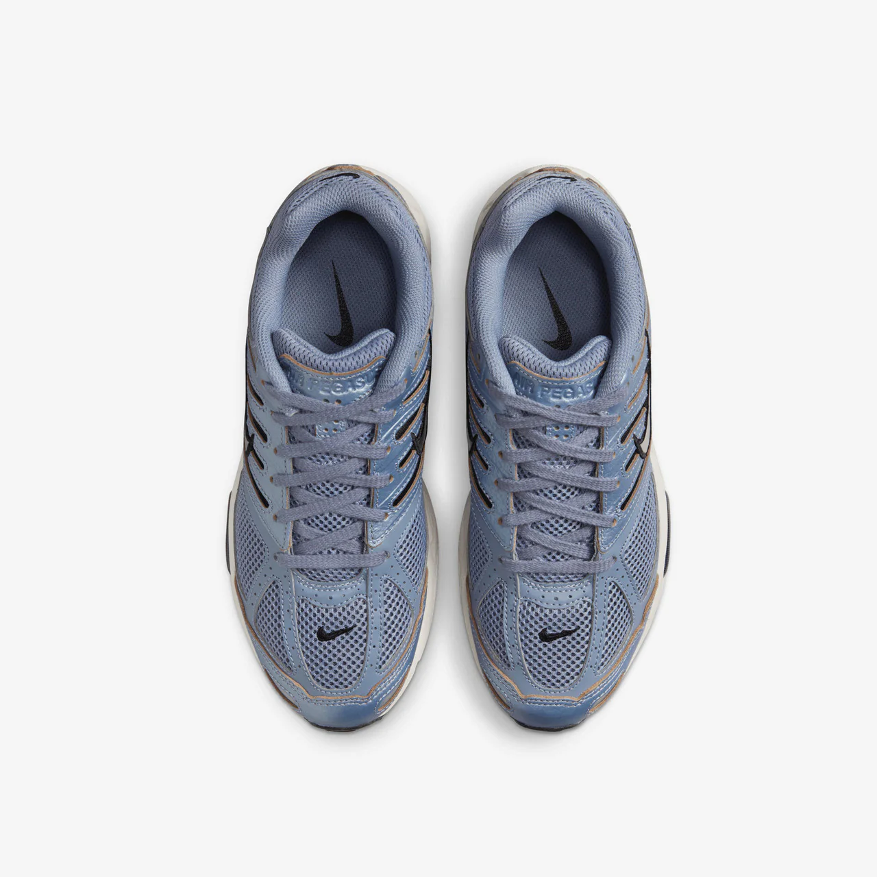 Wmns Air Pegasus 2005 C.O.R - Image 10