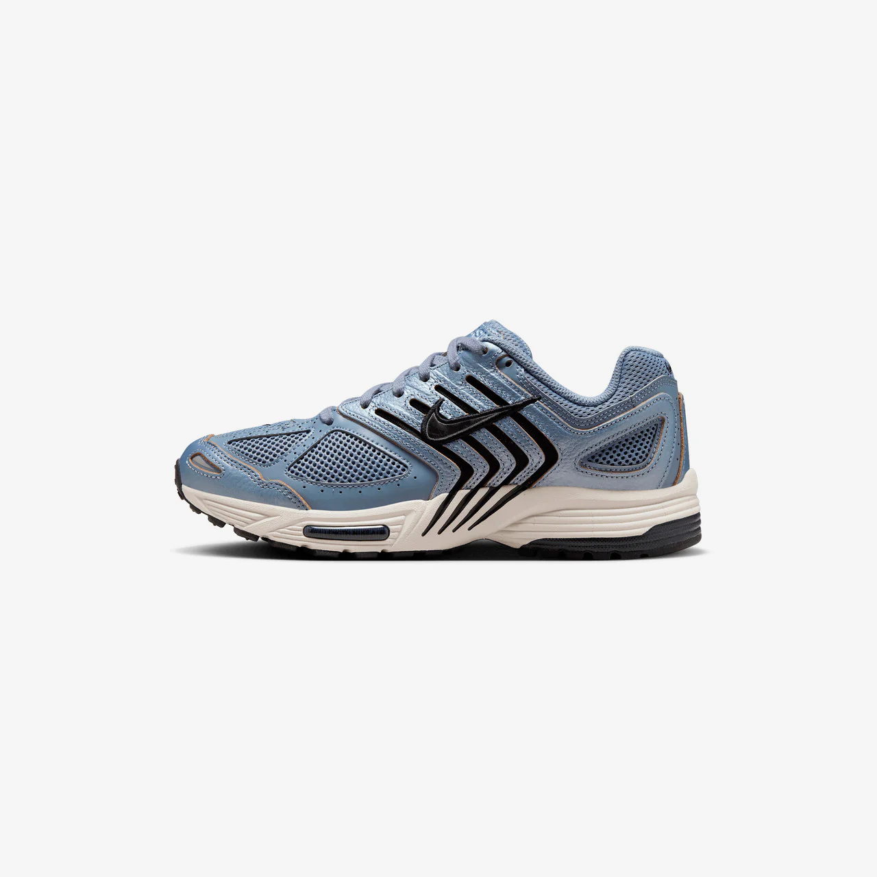 Wmns Air Pegasus 2005 C.O.R - Image 9