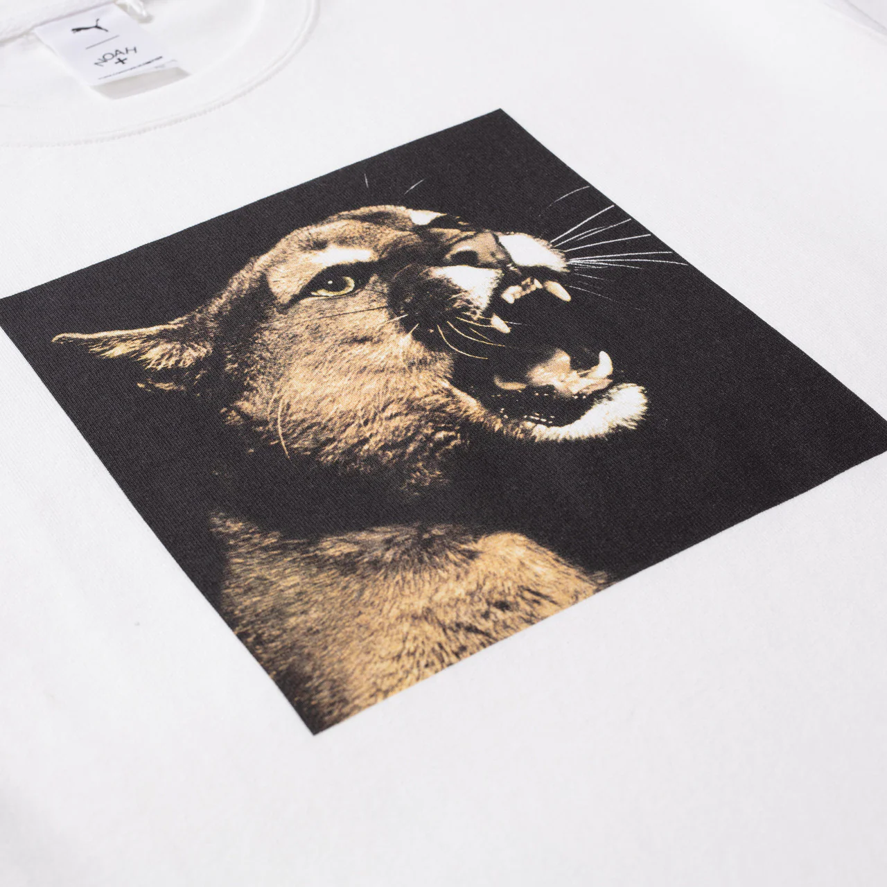 Photo Graphic Tee x Noah - Image 4