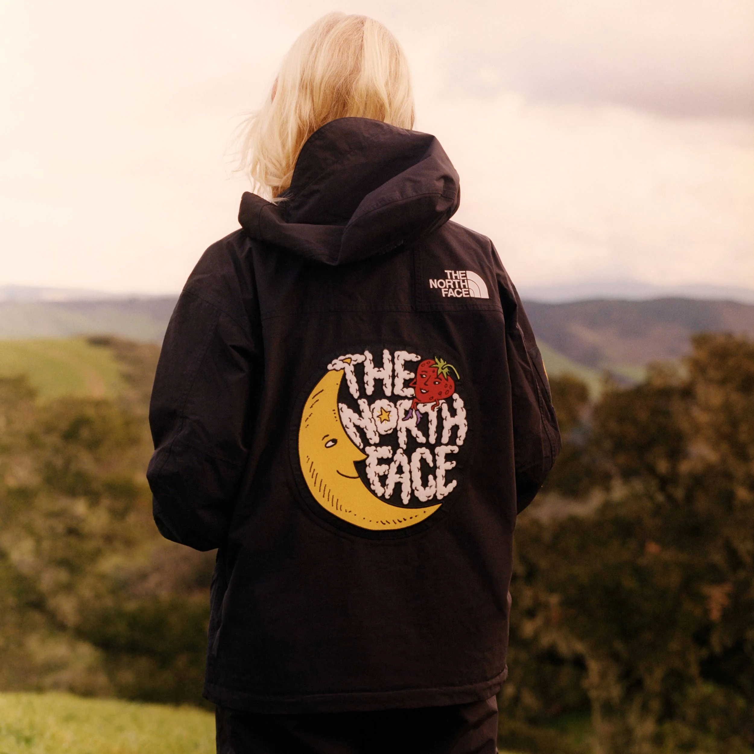 Mountain Jacket x Sky High Farm Goods - Image 12